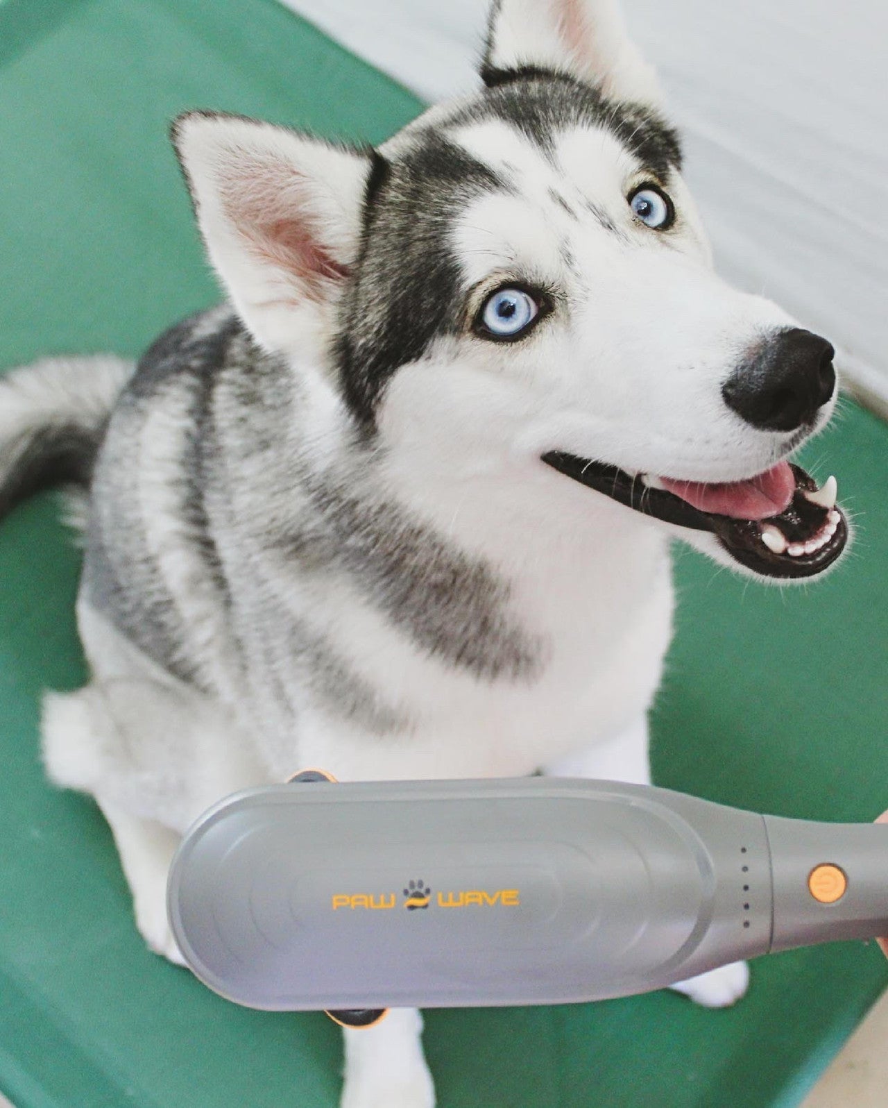 PAW WAVE PERK - PERCUSSION THERAPY PET MASSAGER – PADO Resellers